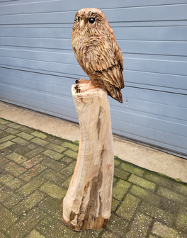 Houtsnijwerk-houtsculptuur-standbeeld-tuinbeeld-van-een-uil-kerkuil-1