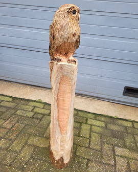 Houtsnijwerk-houtsculptuur-standbeeld-tuinbeeld-van-een-uil-kerkuil-2