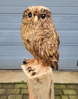 Houtsnijwerk-houtsculptuur-standbeeld-tuinbeeld-van-een-uil-kerkuil-3