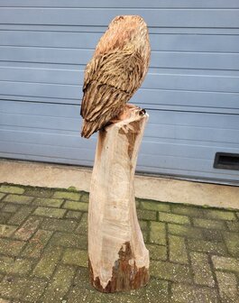 Houtsnijwerk-houtsculptuur-standbeeld-tuinbeeld-van-een-uil-kerkuil-4