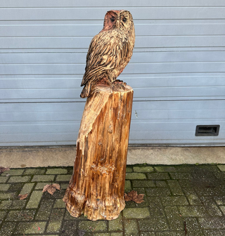 Groot-houtsnijwerk-houtsculptuur-standbeeld-tuinbeeld-van-een-uil-uilen