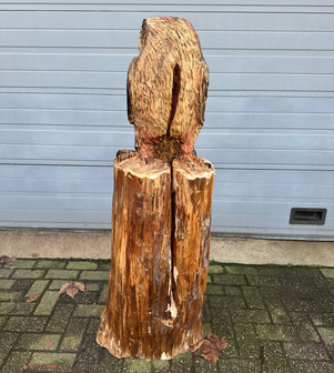 Groot-houtsnijwerk-houtsculptuur-standbeeld-tuinbeeld-van-een-uil-uilen-1