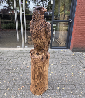 Groot-adelaar-zeearend-outsnijwerk-tuinbeeld-hout