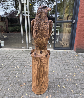 Groot-adelaar-zeearend-outsnijwerk-tuinbeeld-hout-2