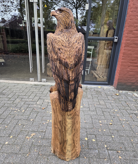 Groot-adelaar-zeearend-outsnijwerk-tuinbeeld-hout-4