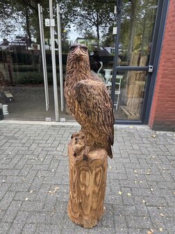 Groot-adelaar-zeearend-outsnijwerk-tuinbeeld-hout-5