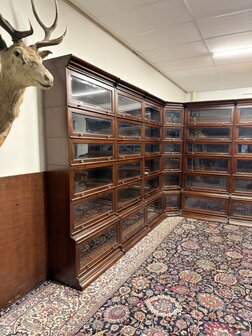 Klassiek-Engels-Antiek-Oud-Chesterfield-Globe-Wernicke-Stijl-Boekenkast-Bibliotheekkast-Hoekkast