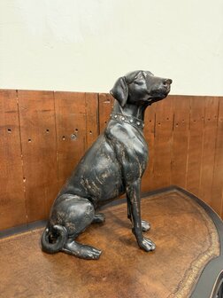 Klassiek-Engels-Antiek-Oud-Chesterfield-Beeld-Labrador-Hond-2