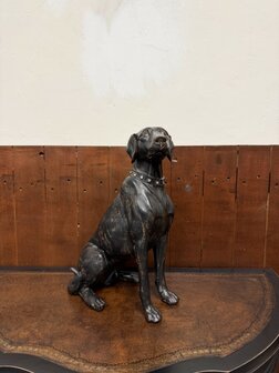 Klassiek-Engels-Antiek-Oud-Chesterfield-Beeld-Labrador-Hond