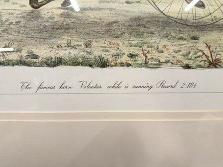 Klassiek-Antiek-Oud-Engels-Prent-The-Famous-Horse-Volunteer-While-Is-Running-Record-4