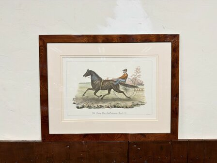 Klassiek-Oud-Antiek-Engels-Prent-The-Trotting-Horse-Axtell-Record