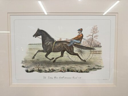 Klassiek-Oud-Antiek-Engels-Prent-The-Trotting-Horse-Axtell-Record-1