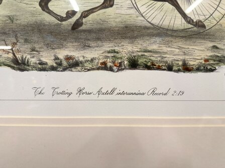 Klassiek-Oud-Antiek-Engels-Prent-The-Trotting-Horse-Axtell-Record-3