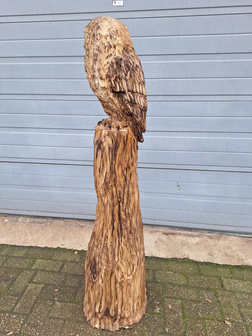 Groot-houtsnijwerk-houtsculptuur-tuinbeeld-kunstwerk-van-een-uil-5