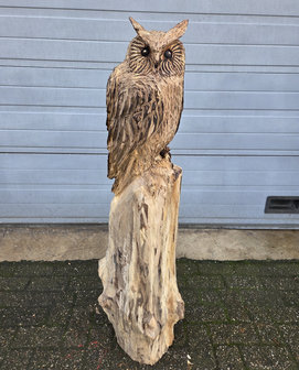 Houtsnijwerk-houtsculptuur-tuinbeeld-kunstwerk-van-een-uil-met-oren