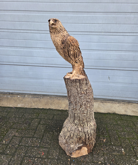 Houtsnijwerk-houtsculptuur-tuinbeeld-kunstwerk-van-een-zeearend-adelaar-roofvogel-2