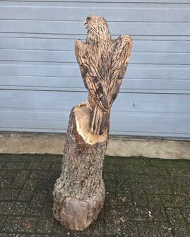 Houtsnijwerk-houtsculptuur-tuinbeeld-kunstwerk-van-een-zeearend-adelaar-roofvogel-3