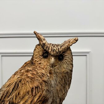 Groot-houtsnijwerk-kunstwerk-uil-op-boomstam-met-oren-3