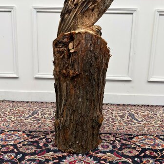 Groot-houtsnijwerk-kunstwerk-uil-op-boomstam-met-oren-6