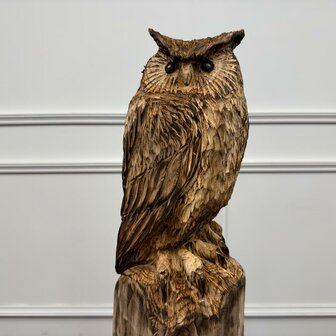 groot-kunstwerk-tuinbeeld-uil-op-boomstam-met-oren-3