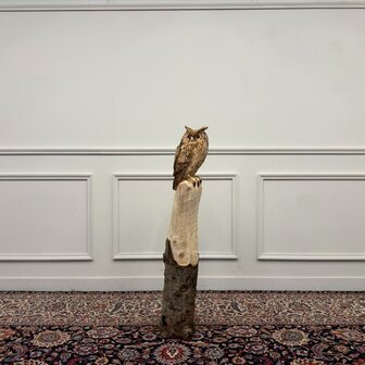 houtsnijwerk-kunstwerk-tuinbeeld-uil-op-boomstam-met-oren