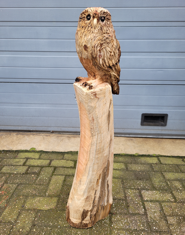 Houtsnijwerk-houtsculptuur-standbeeld-tuinbeeld-van-een-uil-kerkuil