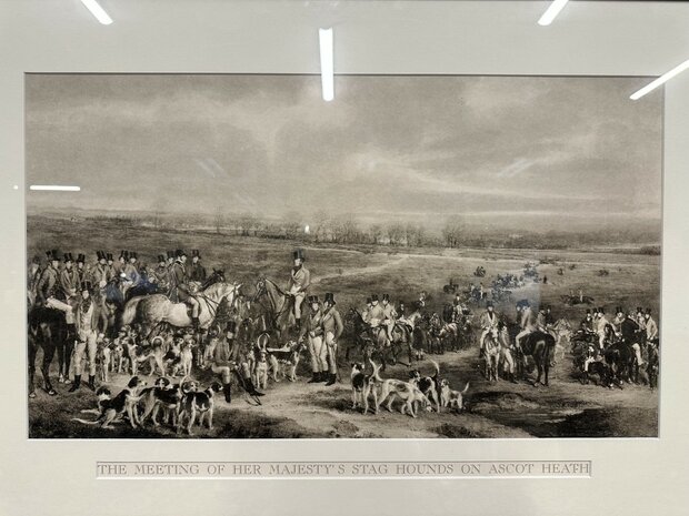 The-meeting-of-her-majesty-stag-hounds-ascot-heath