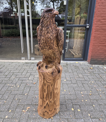 Groot-adelaar-zeearend-outsnijwerk-tuinbeeld-hout