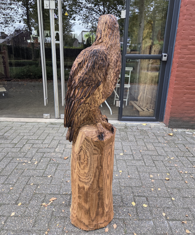 Groot-adelaar-zeearend-outsnijwerk-tuinbeeld-hout-1