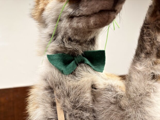 Taxidermie-Opgezet-Vos-verkleed-als-Jager