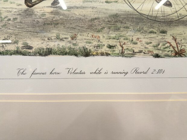 Klassiek-Antiek-Oud-Engels-Prent-The-Famous-Horse-Volunteer-While-Is-Running-Record-4