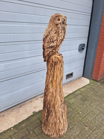 Groot-houtsnijwerk-houtsculptuur-tuinbeeld-kunstwerk-van-een-uil-1