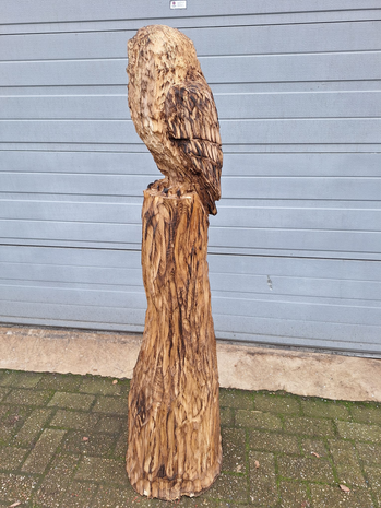 Groot-houtsnijwerk-houtsculptuur-tuinbeeld-kunstwerk-van-een-uil-5