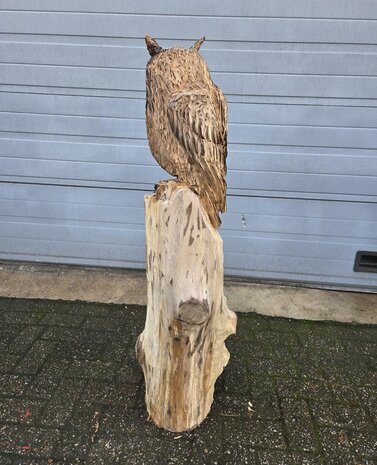Houtsnijwerk-houtsculptuur-tuinbeeld-kunstwerk-van-een-uil-met-oren-4