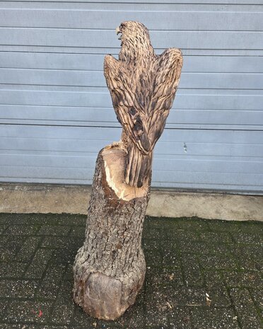 Houtsnijwerk-houtsculptuur-tuinbeeld-kunstwerk-van-een-zeearend-adelaar-roofvogel-3