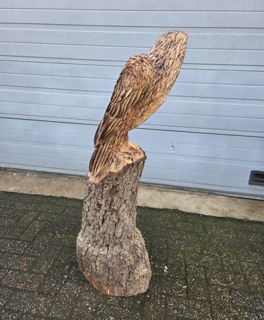 Houtsnijwerk-houtsculptuur-tuinbeeld-kunstwerk-van-een-zeearend-adelaar-roofvogel-4