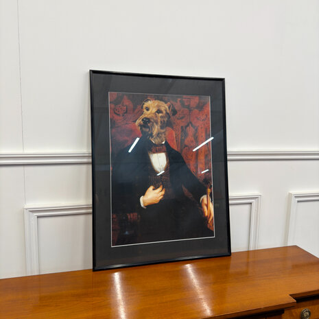 Klassiek-Engels-Antiek-Oud-Prent-Hond-Ierse-Terrier--In-Kledij