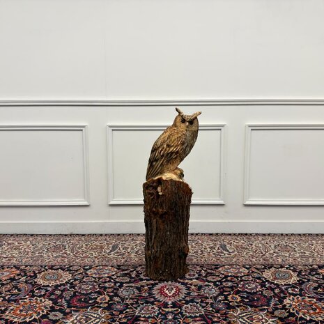 Groot-houtsnijwerk-kunstwerk-uil-op-boomstam-met-oren