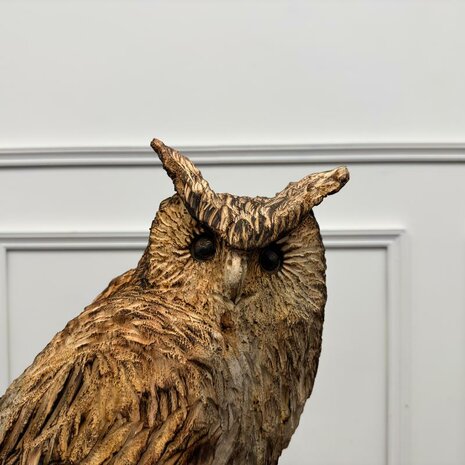 Groot-houtsnijwerk-kunstwerk-uil-op-boomstam-met-oren-3