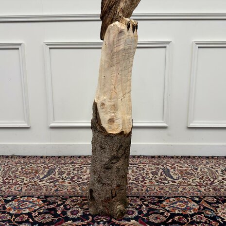 houtsnijwerk-kunstwerk-tuinbeeld-uil-op-boomstam-met-oren-7