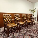 2 Springvale lederen eetkamerstoelen