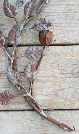Smeedijzeren rozen met blad en steel - OS67