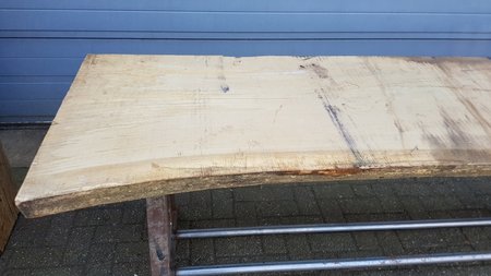 Grote boomstamtafel van eik