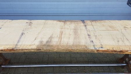 Grote boomstamtafel van eik