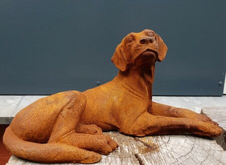 Gietijzeren beeld Hond