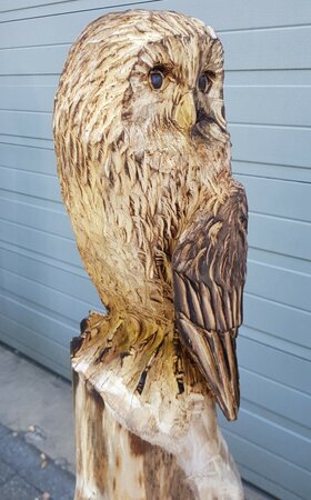 Groot houtsnijwerk Uil
