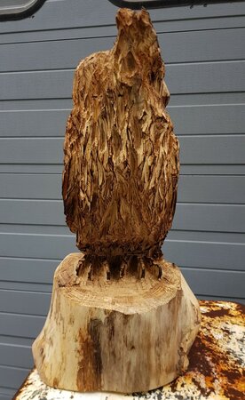 Groot houtsnijwerk uil met oren