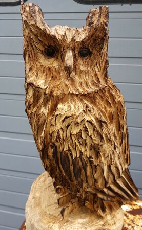 Groot houtsnijwerk uil met oren