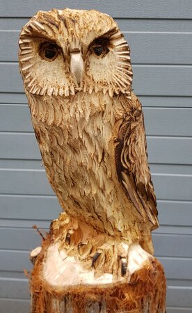 Groot houtsnijwerk van een Kerkuil
