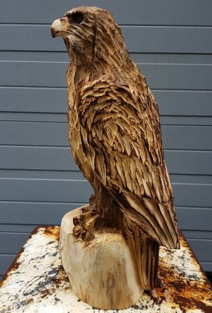 Houtsnijwerk roofvogel